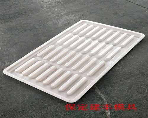 建豐生產(chǎn) 漏糞板模具的質(zhì)量 漏糞板塑料模具加工工藝